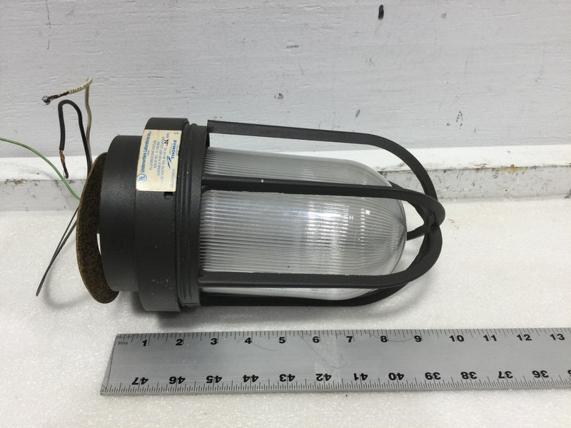 Benjamin Thomas VFS09CD1N Vintage Incandescent Vapolet Light